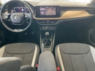 Skoda Kamiq 1.0 TSi Style